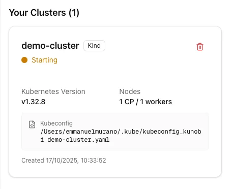 Cluster card showing Starting status